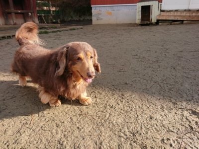 f:id:roukenhome-ann:20190114074540j:plain f:id:roukenhome-ann:20190114074540j:plain
