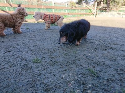 f:id:roukenhome-ann:20190114074616j:plain f:id:roukenhome-ann:20190114074616j:plain