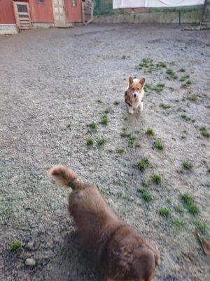 f:id:roukenhome-ann:20190114074708j:plain f:id:roukenhome-ann:20190114074708j:plain