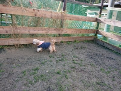 f:id:roukenhome-ann:20190114074713j:plain f:id:roukenhome-ann:20190114074713j:plain
