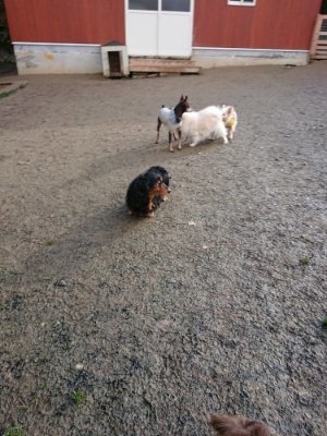 f:id:roukenhome-ann:20190114074718j:plain f:id:roukenhome-ann:20190114074718j:plain