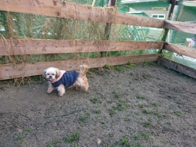f:id:roukenhome-ann:20190114074723j:plain f:id:roukenhome-ann:20190114074723j:plain