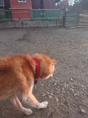 f:id:roukenhome-ann:20190114074746j:plain f:id:roukenhome-ann:20190114074746j:plain