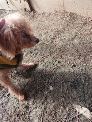 f:id:roukenhome-ann:20190114074955j:plain f:id:roukenhome-ann:20190114074955j:plain