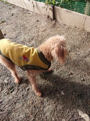 f:id:roukenhome-ann:20190114075000j:plain f:id:roukenhome-ann:20190114075000j:plain