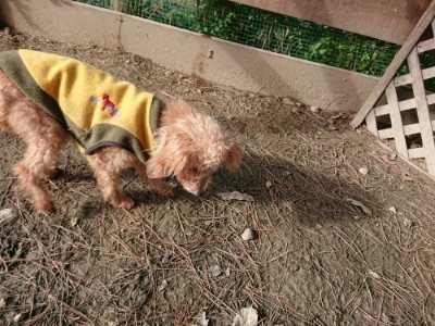 f:id:roukenhome-ann:20190114075017j:plain f:id:roukenhome-ann:20190114075017j:plain