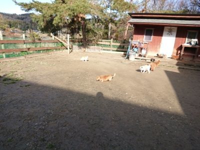 f:id:roukenhome-ann:20190114075131j:plain f:id:roukenhome-ann:20190114075131j:plain