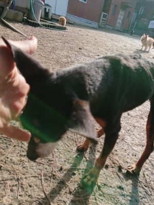 f:id:roukenhome-ann:20190114075434j:plain f:id:roukenhome-ann:20190114075434j:plain