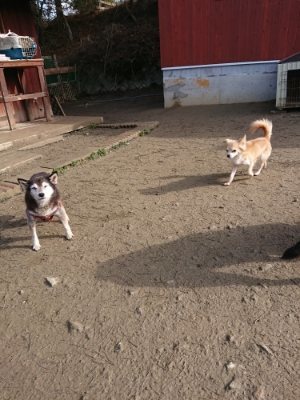 f:id:roukenhome-ann:20190114075621j:plain f:id:roukenhome-ann:20190114075621j:plain