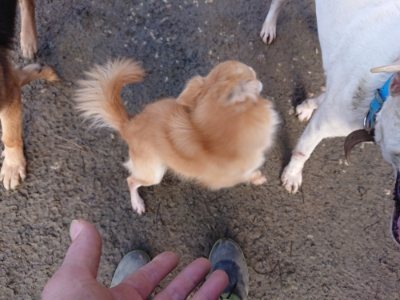 f:id:roukenhome-ann:20190114075751j:plain f:id:roukenhome-ann:20190114075751j:plain