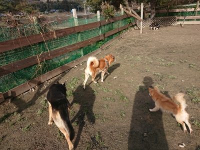 f:id:roukenhome-ann:20190114080406j:plain f:id:roukenhome-ann:20190114080406j:plain