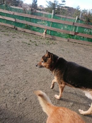 f:id:roukenhome-ann:20190114080451j:plain f:id:roukenhome-ann:20190114080451j:plain