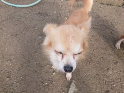 f:id:roukenhome-ann:20190114080458j:plain f:id:roukenhome-ann:20190114080458j:plain