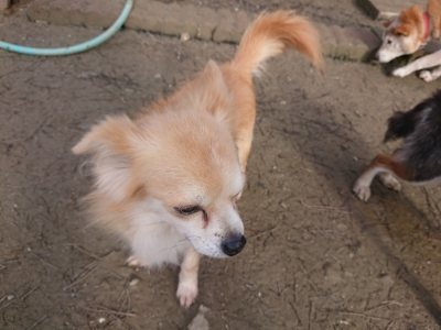 f:id:roukenhome-ann:20190114080503j:plain f:id:roukenhome-ann:20190114080503j:plain