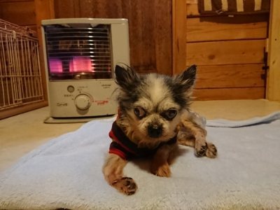 f:id:roukenhome-ann:20190114093640j:plain