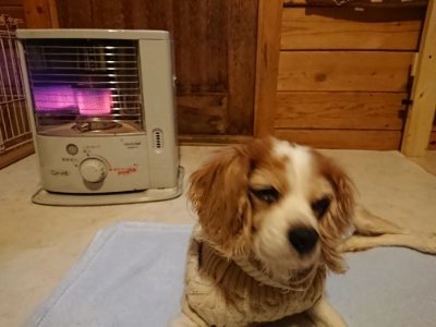 f:id:roukenhome-ann:20190114093715j:plain