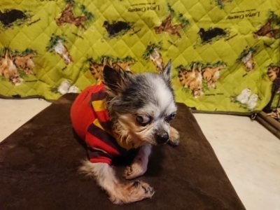 f:id:roukenhome-ann:20190114093721j:plain
