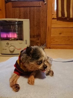 f:id:roukenhome-ann:20190114093727j:plain