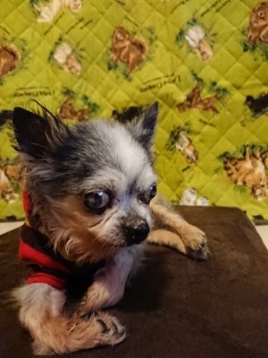 f:id:roukenhome-ann:20190114093752j:plain