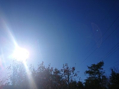 f:id:roukenhome-ann:20190114193455j:plain