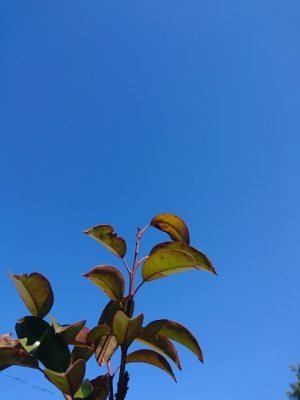 f:id:roukenhome-ann:20190114193547j:plain