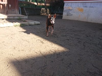 f:id:roukenhome-ann:20190114193648j:plain