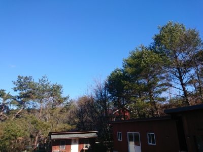 f:id:roukenhome-ann:20190114193706j:plain