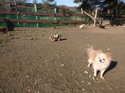 f:id:roukenhome-ann:20190114195413j:plain