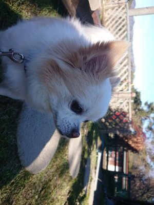 f:id:roukenhome-ann:20190114195636j:plain
