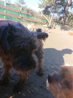 f:id:roukenhome-ann:20190114195645j:plain