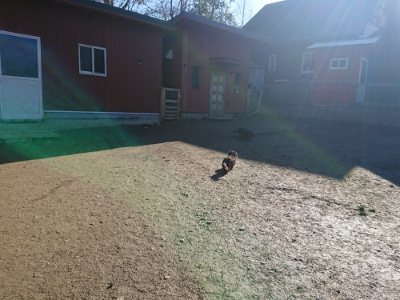 f:id:roukenhome-ann:20190114200414j:plain