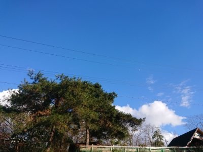 f:id:roukenhome-ann:20190114200423j:plain