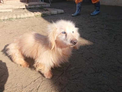 f:id:roukenhome-ann:20190114200731j:plain