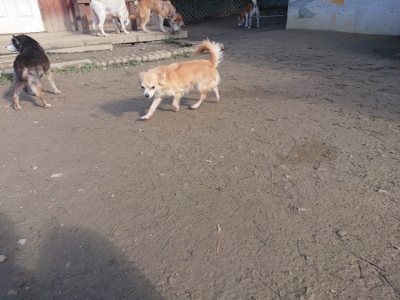 f:id:roukenhome-ann:20190114203230j:plain