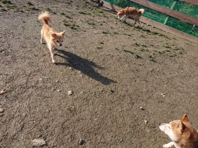 f:id:roukenhome-ann:20190114203802j:plain
