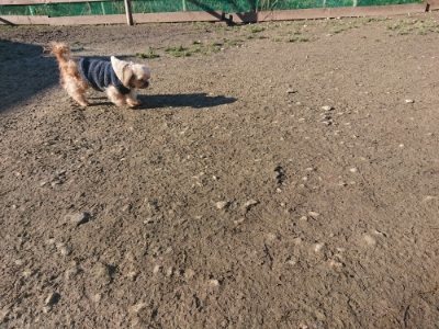f:id:roukenhome-ann:20190114203831j:plain