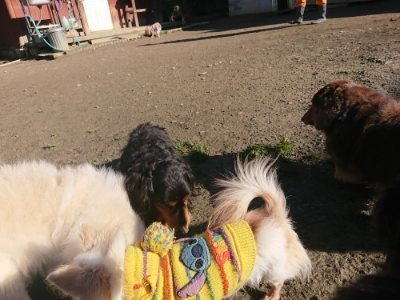 f:id:roukenhome-ann:20190114204412j:plain