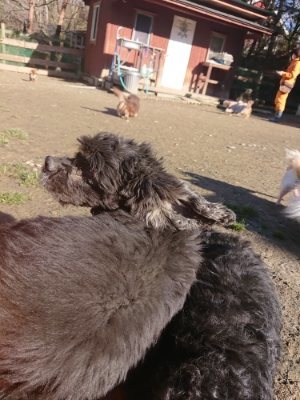 f:id:roukenhome-ann:20190114204439j:plain