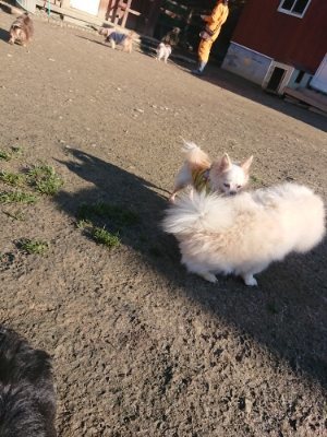 f:id:roukenhome-ann:20190114204504j:plain