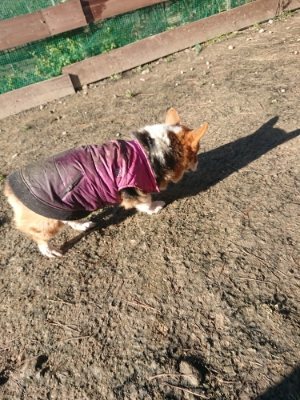 f:id:roukenhome-ann:20190114204542j:plain