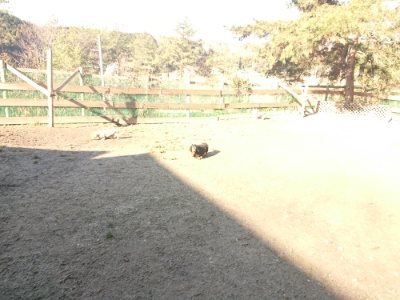 f:id:roukenhome-ann:20190114205011j:plain