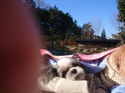 f:id:roukenhome-ann:20190114205231j:plain