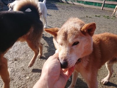 f:id:roukenhome-ann:20190114205445j:plain