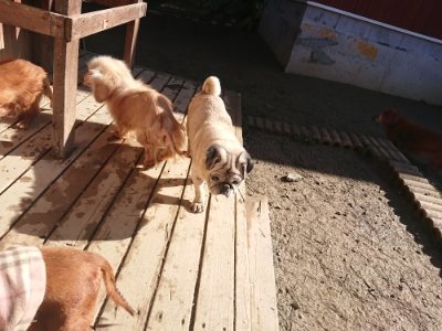 f:id:roukenhome-ann:20190114205809j:plain