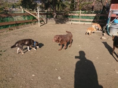 f:id:roukenhome-ann:20190114210342j:plain