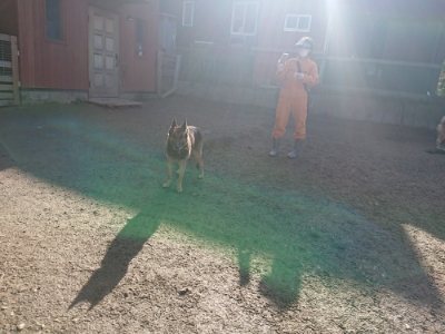 f:id:roukenhome-ann:20190114210721j:plain