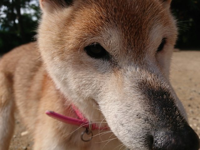 f:id:roukenhome-ann:20190114211203j:plain