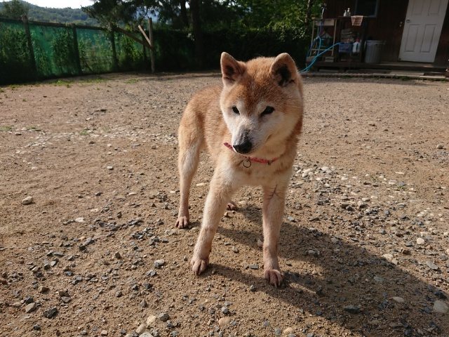f:id:roukenhome-ann:20190114211225j:plain