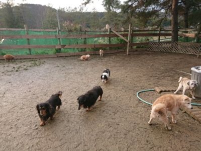 f:id:roukenhome-ann:20190115203536j:plain f:id:roukenhome-ann:20190115203536j:plain
