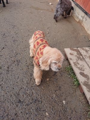 f:id:roukenhome-ann:20190115203557j:plain f:id:roukenhome-ann:20190115203557j:plain